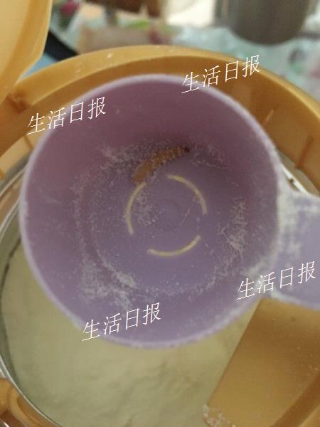 美素佳儿1段奶粉有虫子,美素佳儿奶粉新鲜