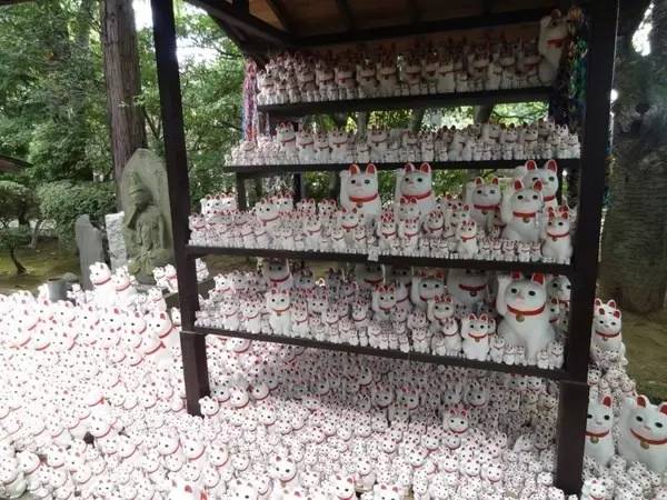 招财猫还有公母之分,招财猫分公母吗有什么寓意