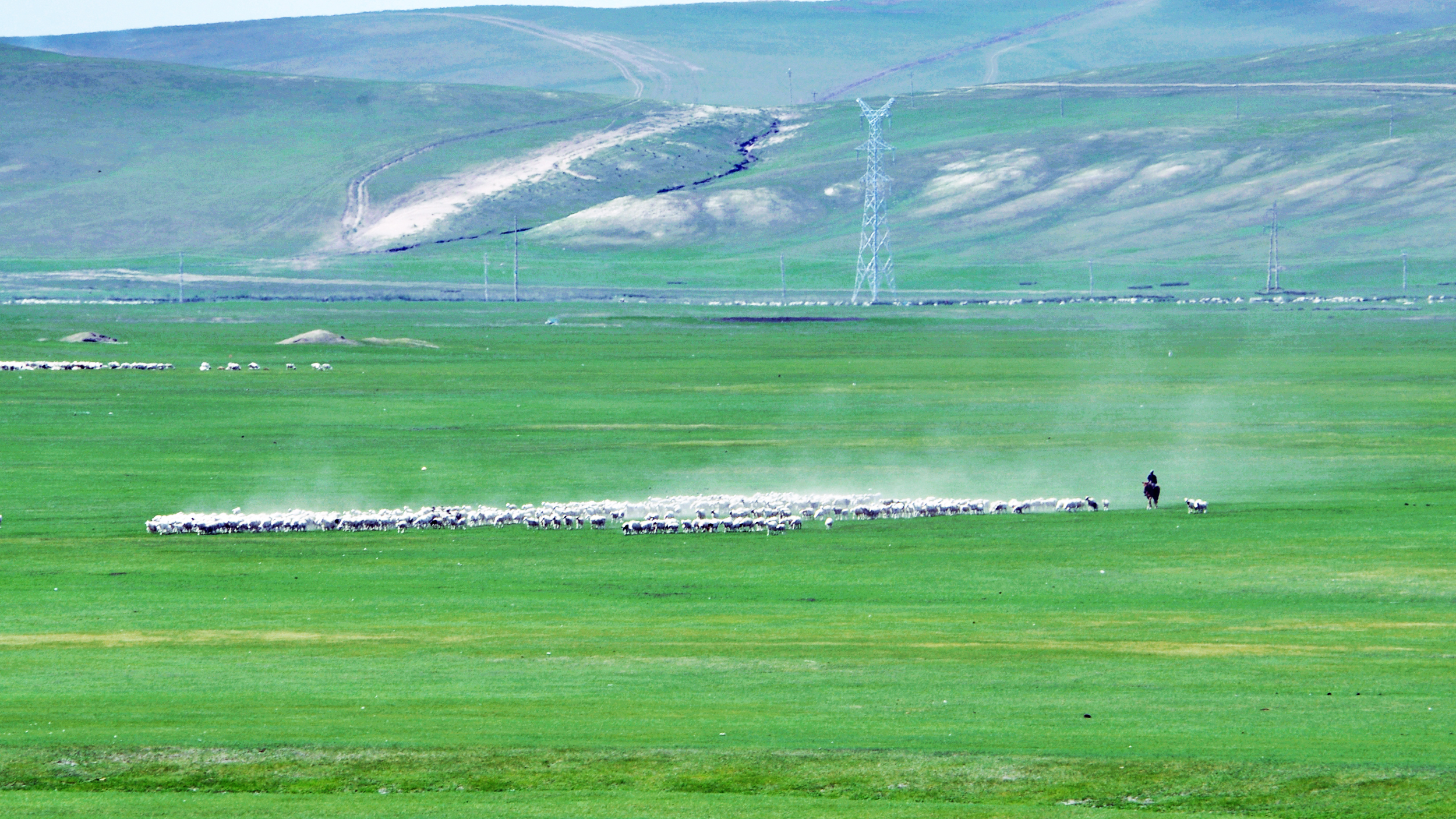 呼伦贝尔大草原中俄边界线风景区,呼伦贝尔大草原跟团游一日游