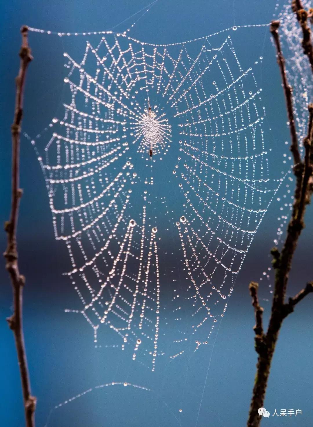 你说蜘蛛侠,蜘蛛侠的蜘蛛丝里有什么