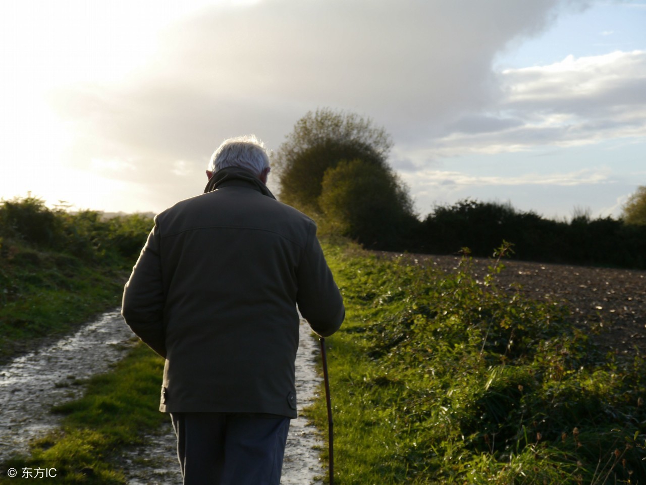 80岁老人的真实讲述,黑芝麻糊适不适合80多岁的老人吃