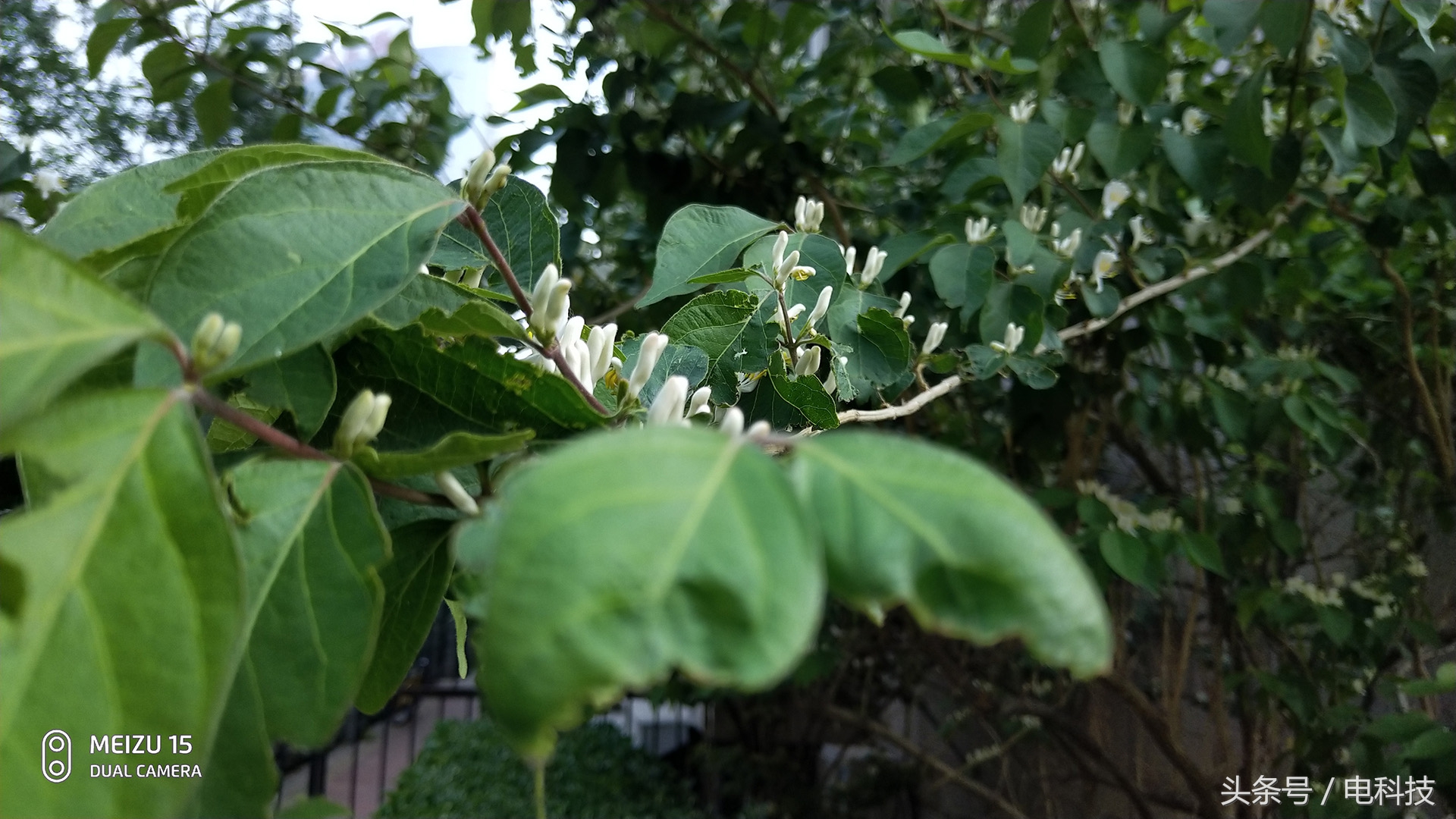 魅族15评测plus扬声器,魅族15手机深度评测