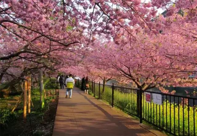 还出什么国？去了易县，等于去了全世界，不信你看！