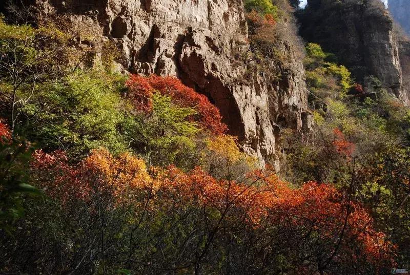 还出什么国？去了易县，等于去了全世界，不信你看！