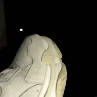 巴黎世家“辱华”：歧视你，你也不能把我怎样