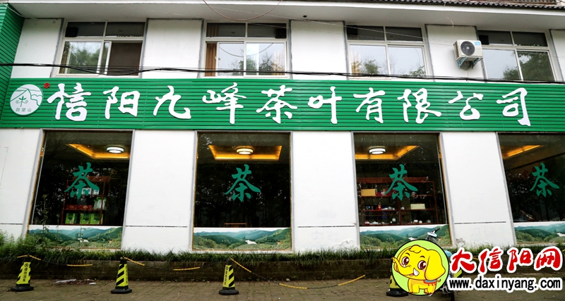 信阳九峰茶业有限公司,信阳曾静