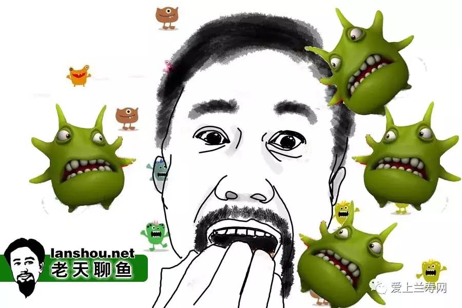 金鱼的鱼饵怎么做,金鱼最喜欢吃的鱼饵怎么做