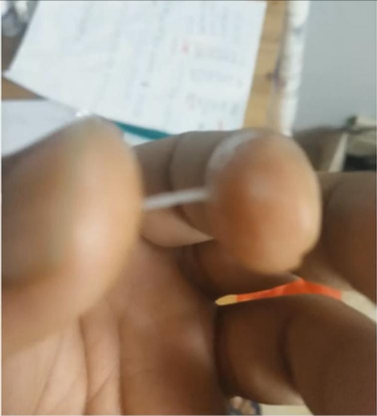 母猪的发情鉴定与配种时间你了解多少？