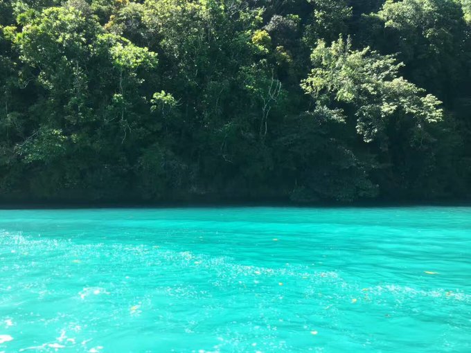 帕劳水下摄影最佳时间,帕劳海上旅游攻略