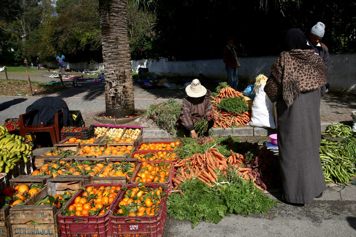 摩洛哥人人都听过的歌,摩洛哥一切皆有可能
