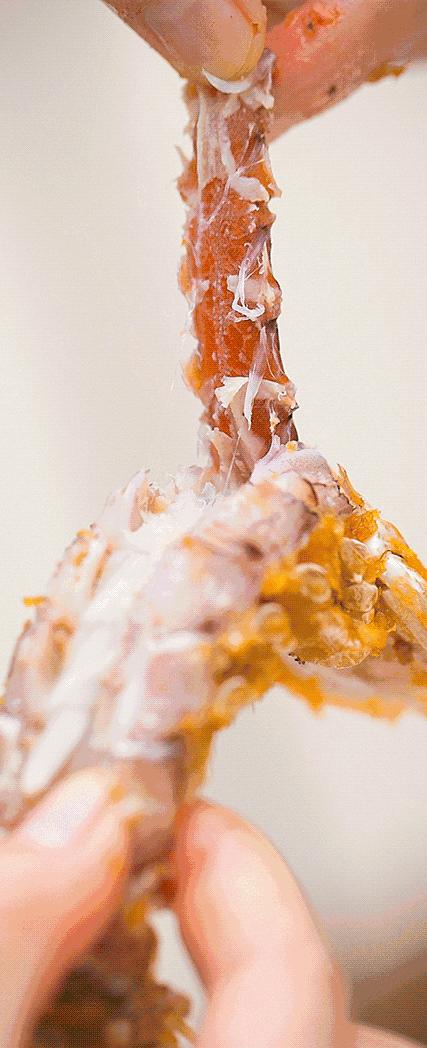 椒盐皮皮虾最简单的家常做法,椒盐皮皮虾最简单的做法