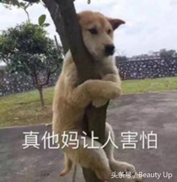 旅行好物清单，一起来一场高逼格的旅行吧！