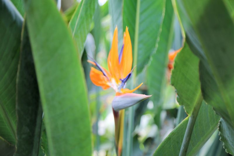 南通旅游攻略必去景点排名,南通紫琅湖公园五一有没有灯光秀