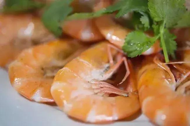 2020年海南乡村旅游文化节时间,第五届海南乡村旅游文化节