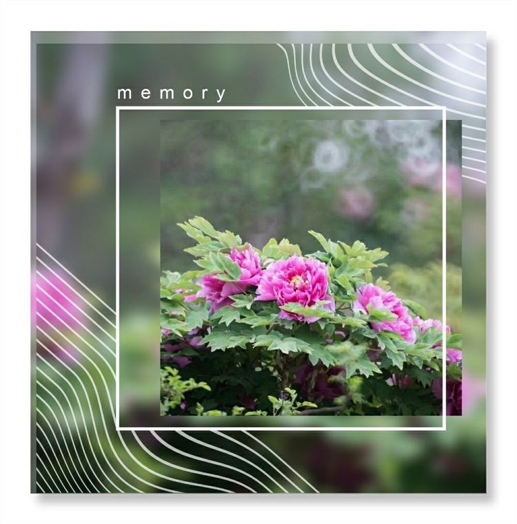 《洞天春》色几多情——（18—7·同韵）