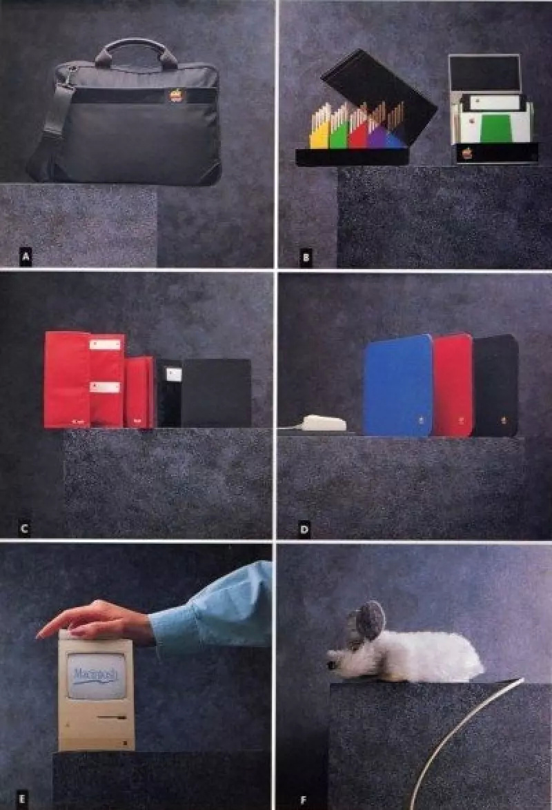 鑻规灉鐧捐揣鍏徃,鑻规灉鐧捐揣鏈夐檺鍏徃