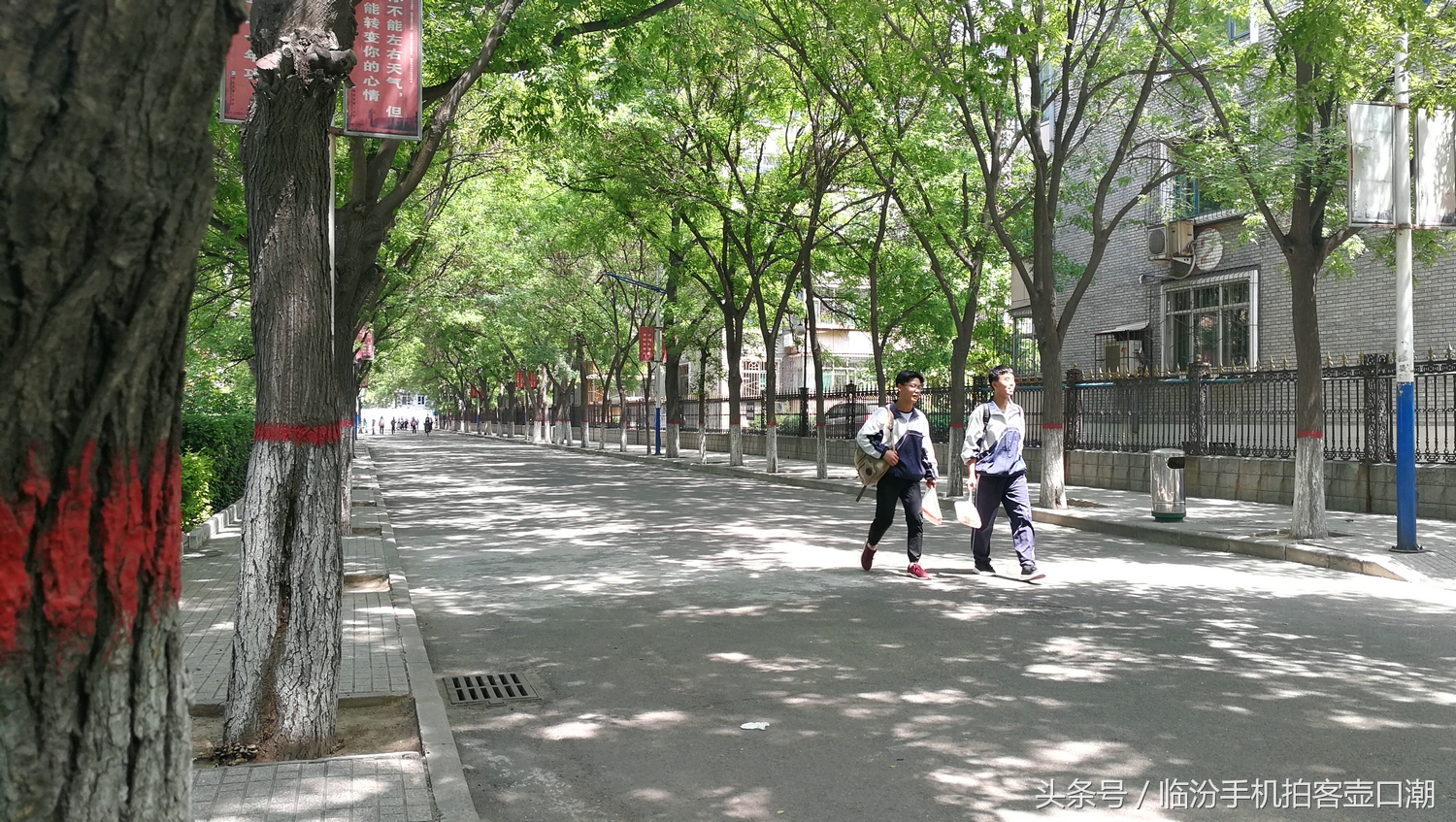 临汾三中校园风光,临汾三中校园