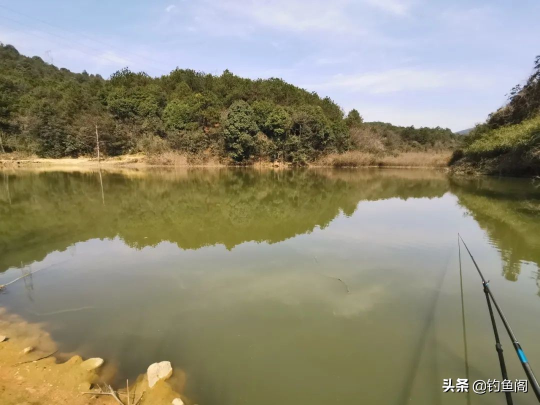 水太肥鱼鲫鱼不吃饵怎么办,水太肥鱼不肯吃饵怎么办