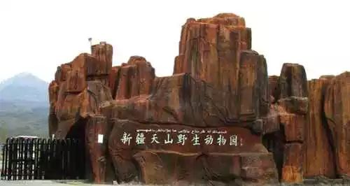 五一游玩小短文一年级,五一游玩的小短文50字