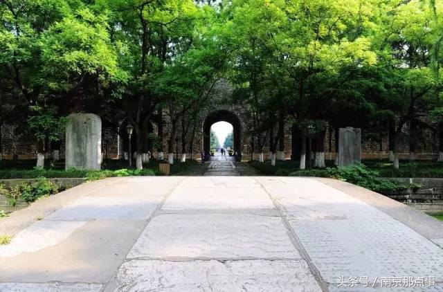 适合南京一日游的三十项免费景点,南京值得打卡的小众景点