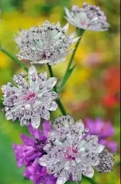 五一聚会的图片可保存,五一微信群图片