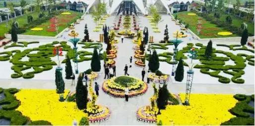 花车花田，美景美食，五一不用远走，丰台这些地方承包你的假期时光！