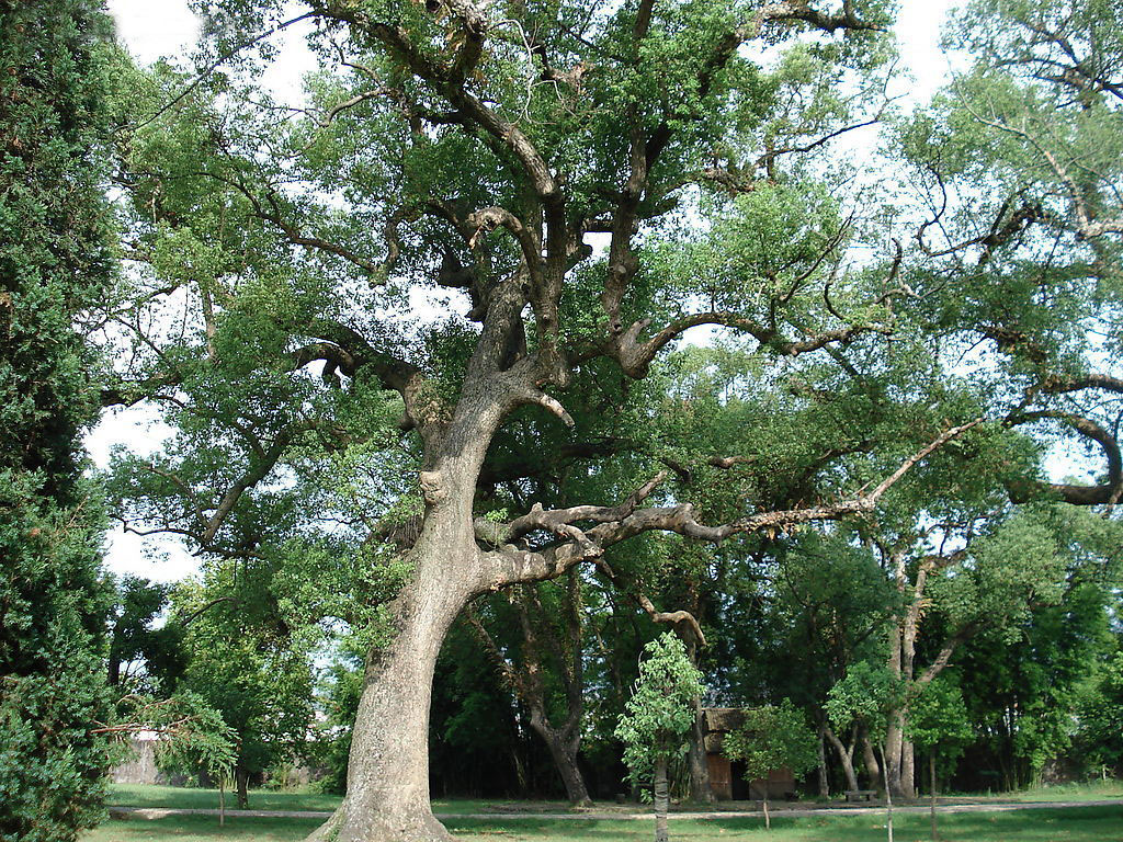 美丽杭州美丽上城,浙江杭州上城区