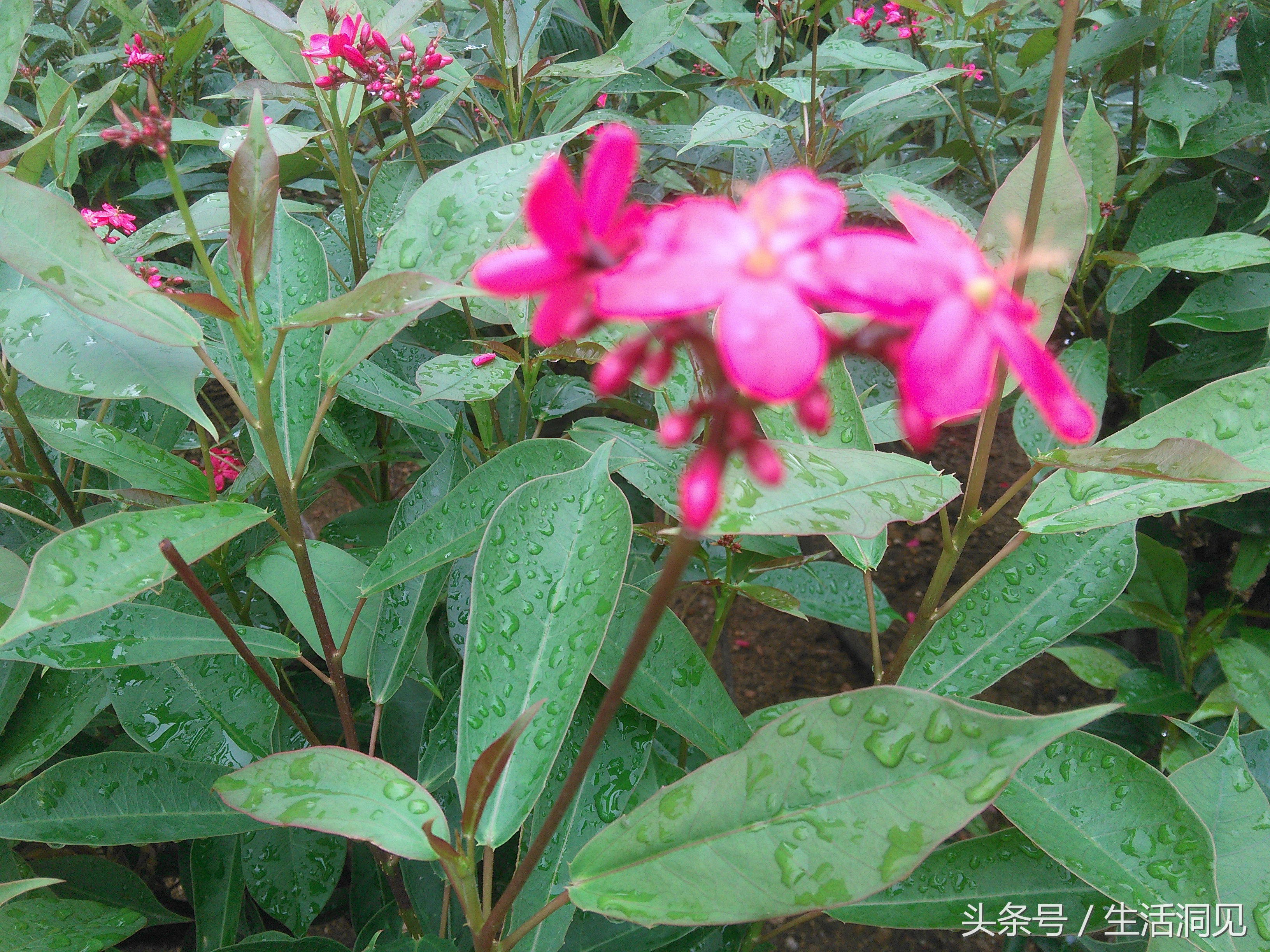 当对生活焦虑压抑了怎么办,当生活感到压抑