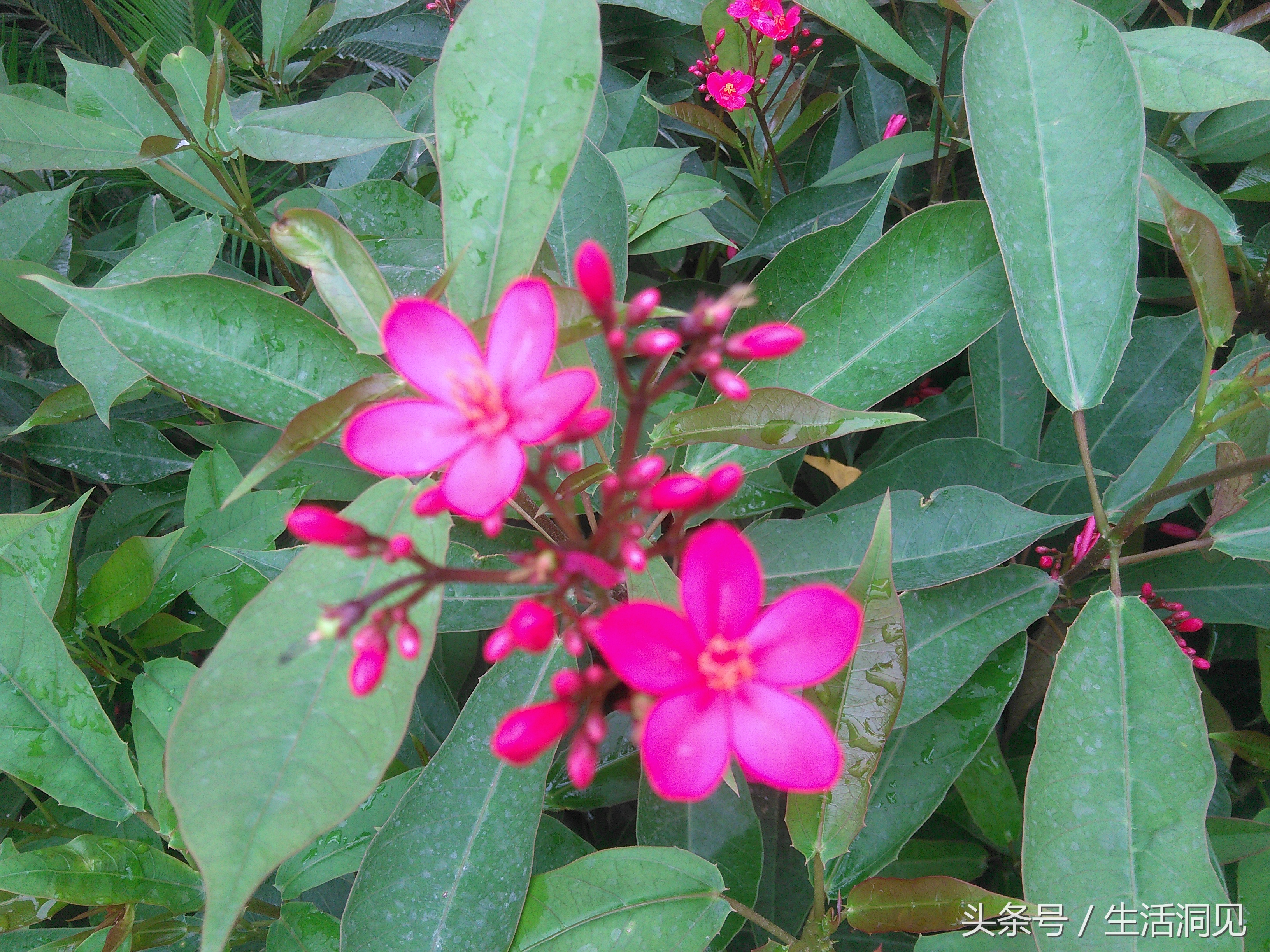 当对生活焦虑压抑了怎么办,当生活感到压抑