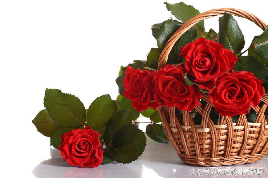 家长该警惕孩子的四种性格,家长对孩子的正确处理