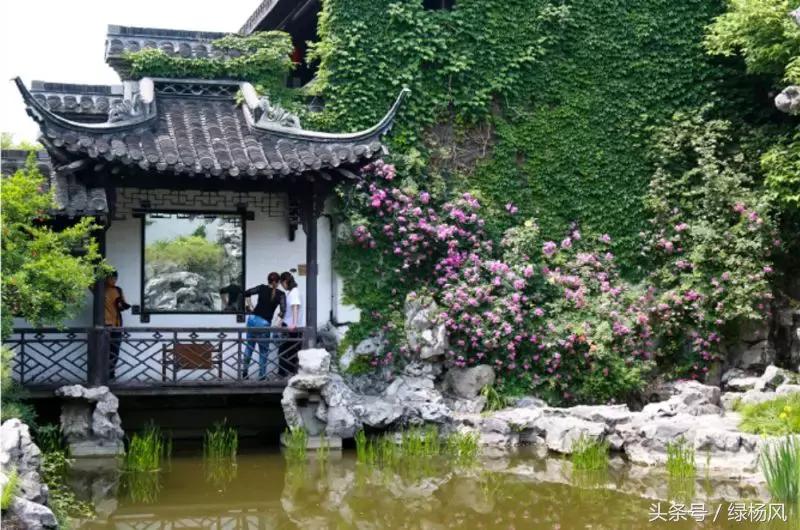 瘦西湖景区门票优惠条件,瘦西湖等国有景区全部免费开放