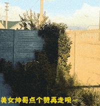 笑一笑睡好觉的搞笑图片,笑出皱纹的搞笑图片