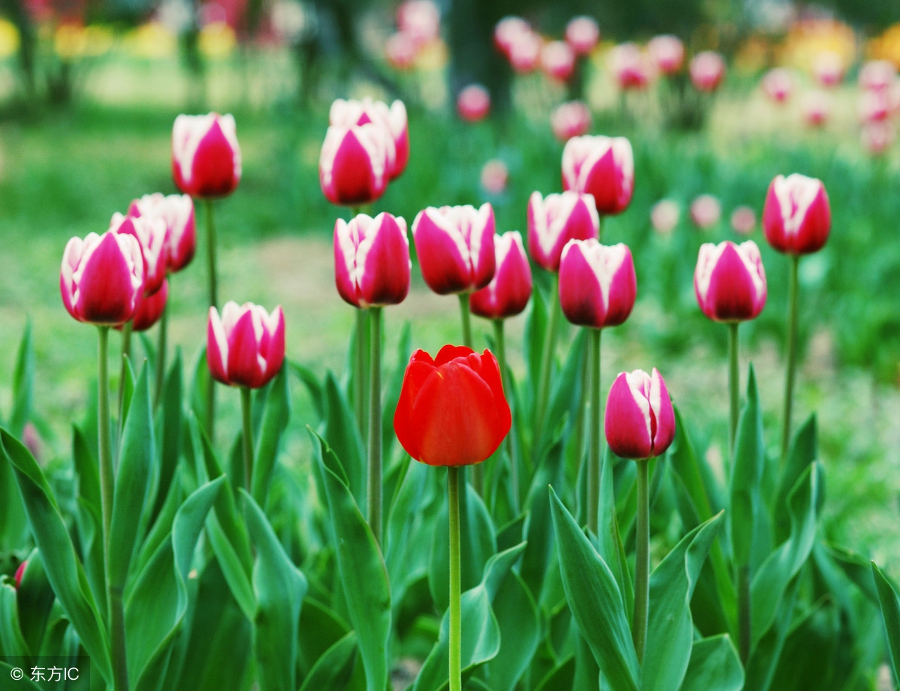 生活语录相册,生活感悟相册