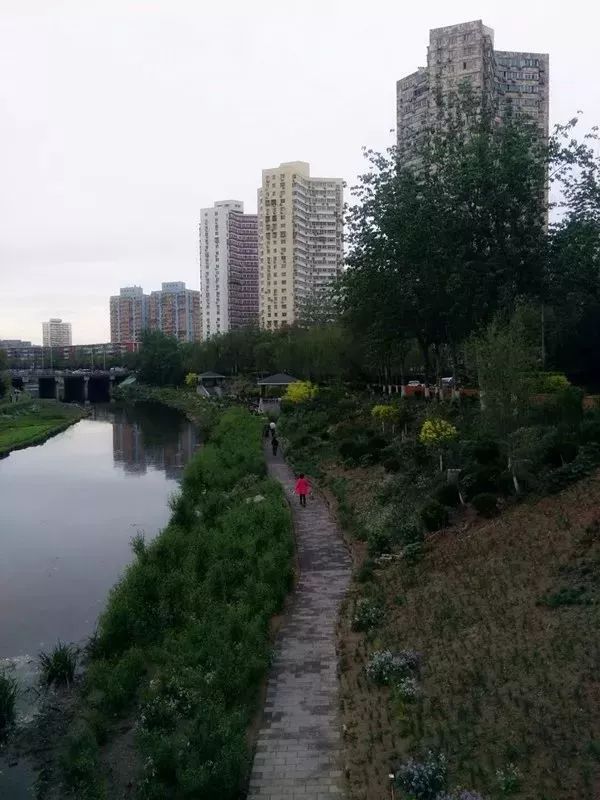 呼叫西罗园！呼叫西罗园！