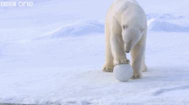假期一定要给孩子看的20部纪录片,12部适合和孩子一起看的纪录片