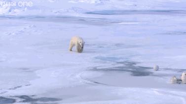 假期一定要给孩子看的20部纪录片,12部适合和孩子一起看的纪录片