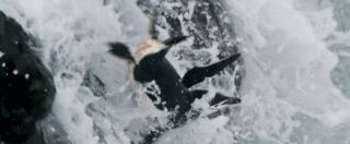 假期一定要给孩子看的20部纪录片,12部适合和孩子一起看的纪录片