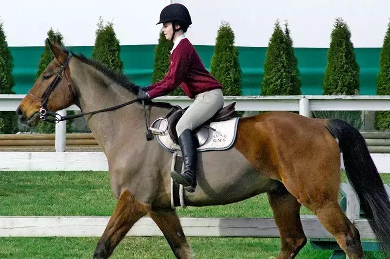 马术顶级骑手缰绳练习,马术骑手手臂和肩膀练习