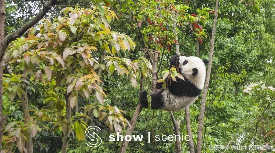 适合宅家一日游,适合宅在家旅游的景点