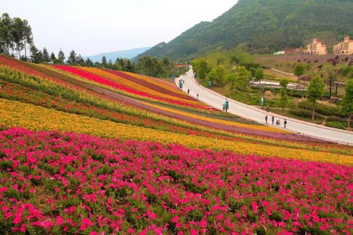 离厦门200公里的城市,离厦门十来分钟的小城