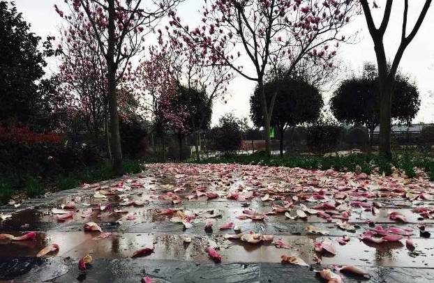 重庆旅游避开网红景点,重庆网红景点轻轨攻略