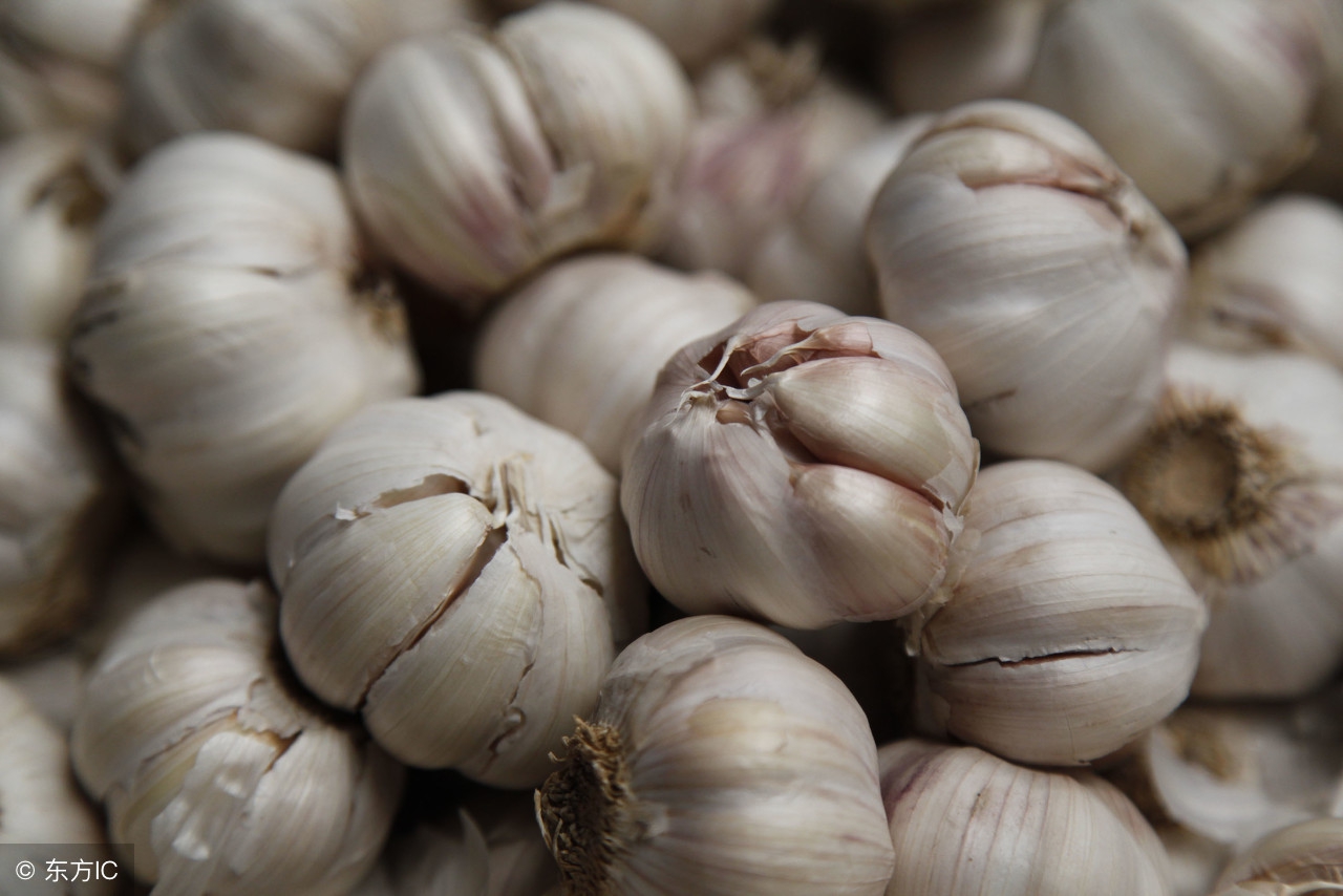 大蒜价格今年的大蒜多少钱一斤,大蒜价格最新行情今日蒜价表