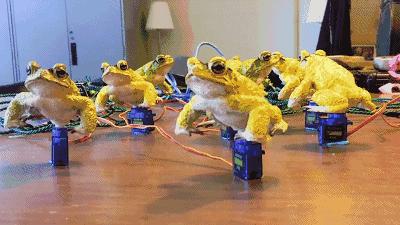 3D打印技术助力先进制造,3d打印帮助动物