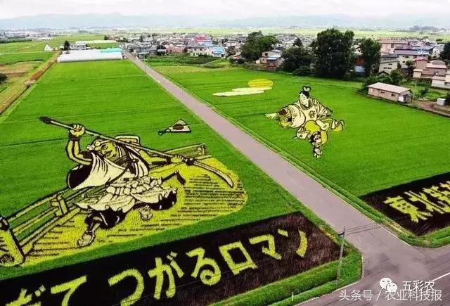 生态农业的可能性以及前景,生态农业造福千秋万代