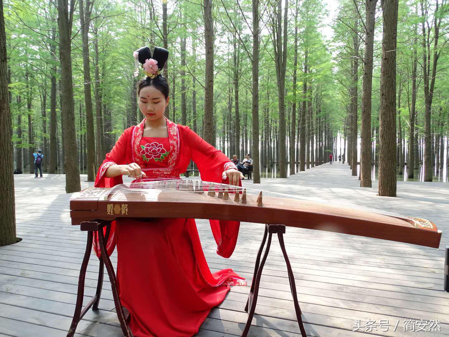 姝︽眽鑷┚涔岄晣瑗垮,姝︽眽鑷┚涔岄晣