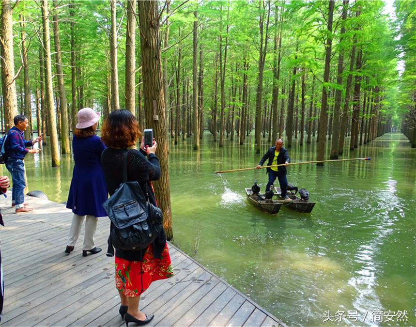 姝︽眽鑷┚涔岄晣瑗垮,姝︽眽鑷┚涔岄晣