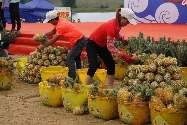 五一朝天旅游,踏青出游五一小长假怎么玩