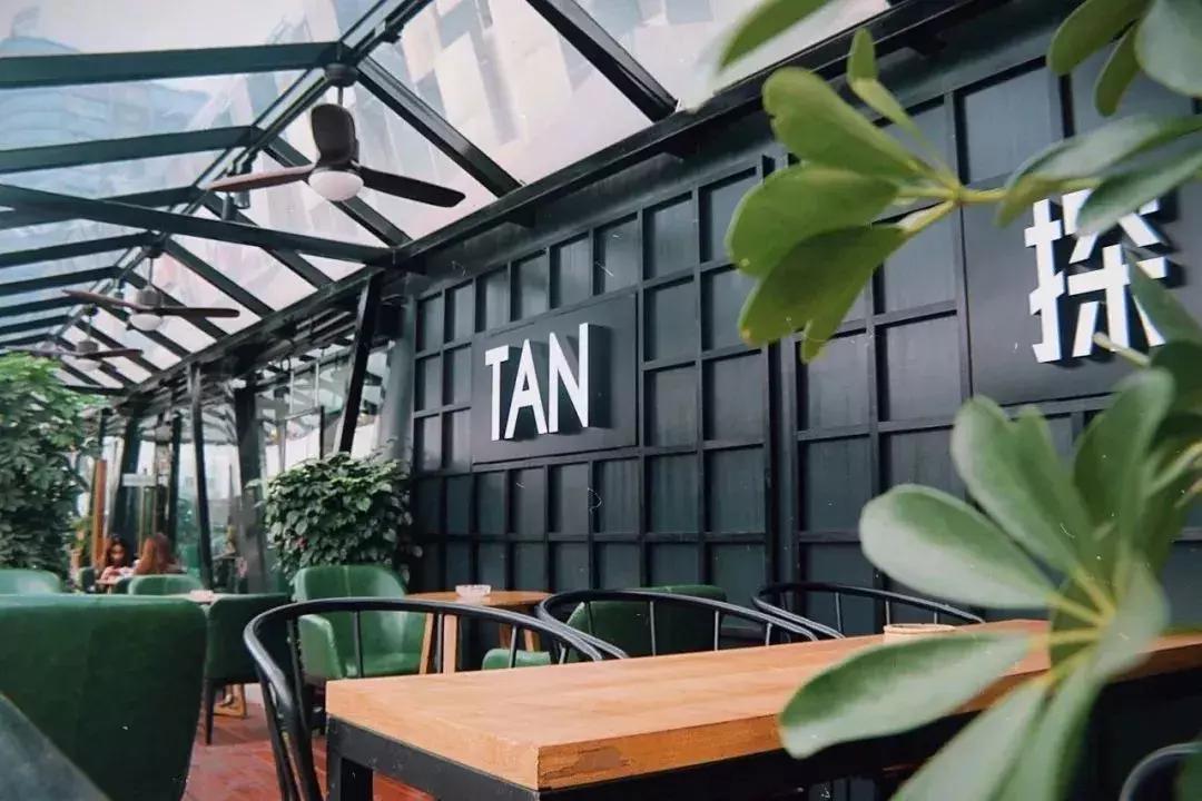 广西网红茶,爆款网红茶