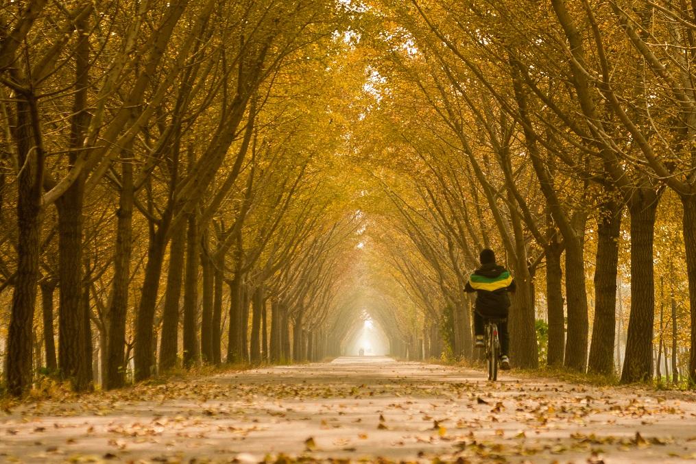经典儿歌老歌300首音频,儿歌100首音频自动播放