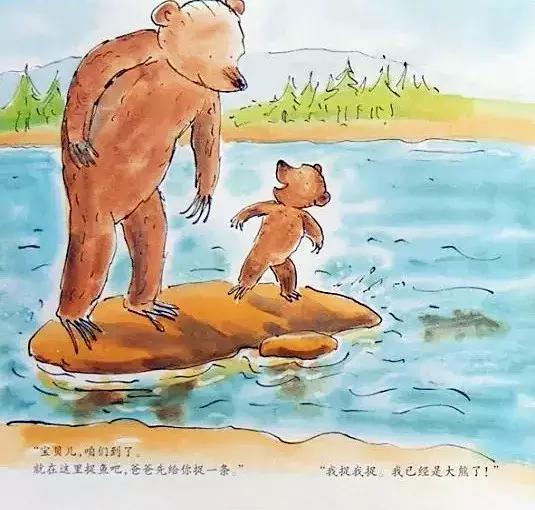 小熊和最好的爸爸长大了读后感,小熊和最好的爸爸一起长大了